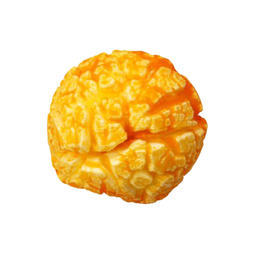 TTP Gourmet Popcorn - The Theatre Project